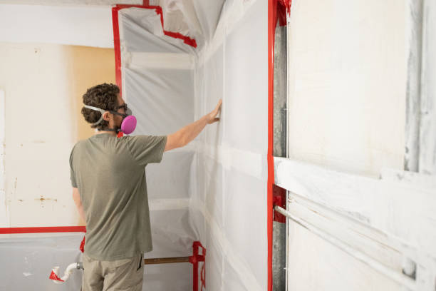 Best Emergency Mold Remediation  in Viera West, FL