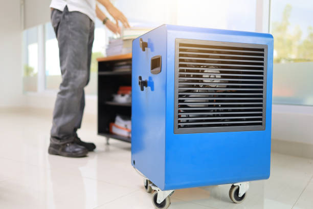 Best Dehumidification Services  in Viera West, FL